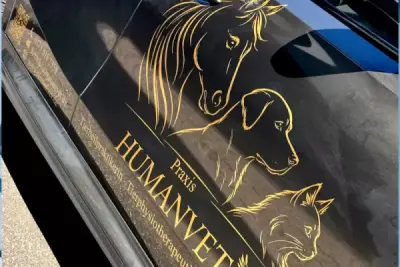 Fahrzeugbeschriftung in Gold-Optik mit Pferd, Hund und Katze für die Praxis HUMANVET